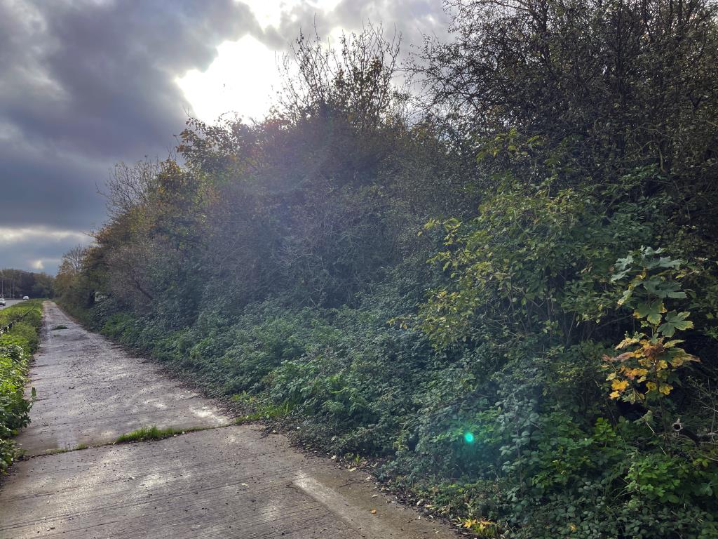 Lot: 53 - QUARTER ACRE SITE -